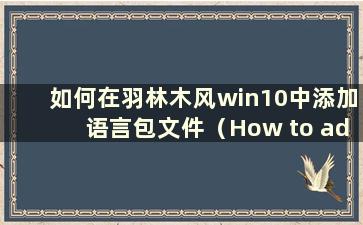 如何在羽林木风win10中添加语言包文件（How to add language pack settings in YuLinMuFeng win10）